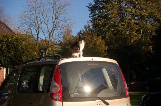 fotos okt.2011 028 custom